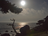 17 Mile Drive 5